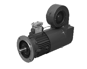 AC drive motor